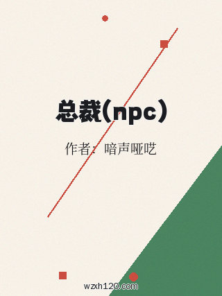 总裁(npc)