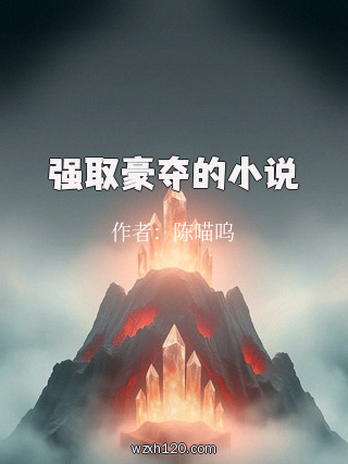 强取豪夺的小说