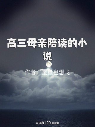 高三母亲陪读的小说