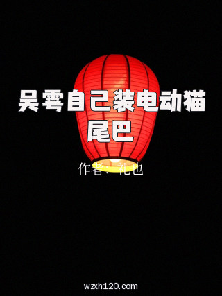 吴雩自己装电动猫尾巴