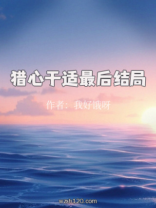 猎心于适最后结局