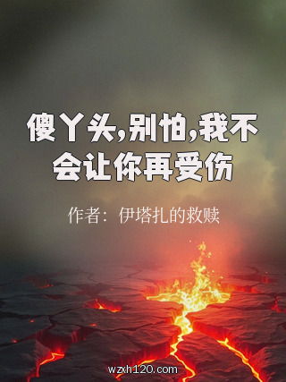 傻丫头,别怕,我不会让你再受伤