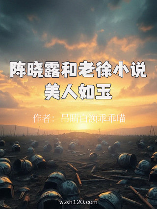 陈晓露和老徐小说美人如玉