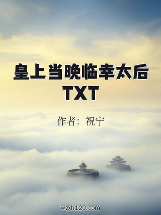 皇上当晚临幸太后TXT