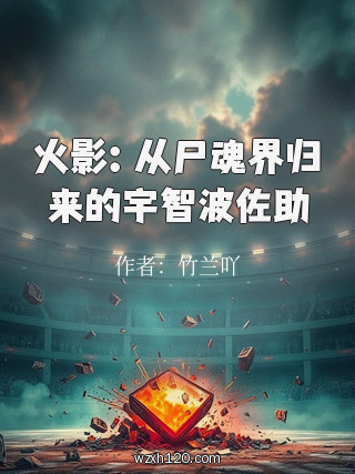 火影:从尸魂界归来的宇智波佐助