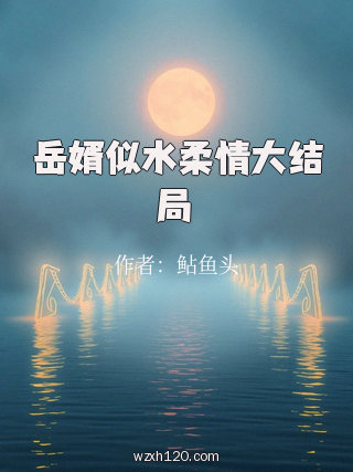 岳婿似水柔情大结局