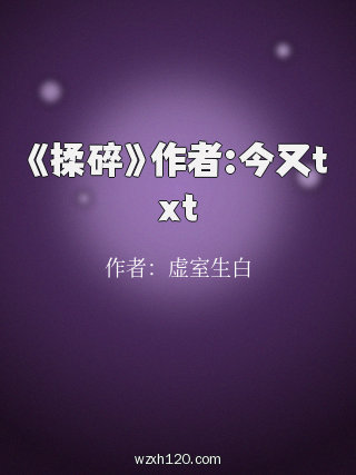 《揉碎》作者:今又txt
