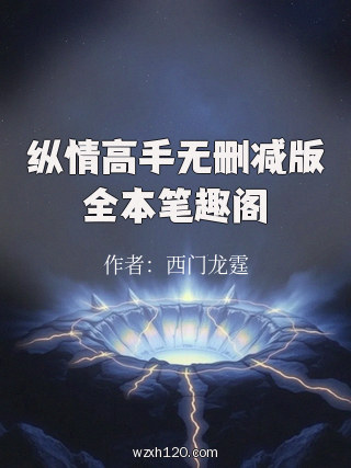 纵情高手无删减版全本笔趣阁