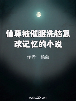 仙尊被催眠洗脑篡改记忆的小说