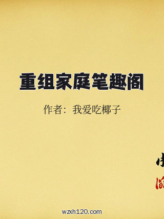 重组家庭笔趣阁