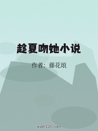 趁夏吻她小说