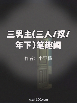 三男主(三人/双/年下)笔趣阁