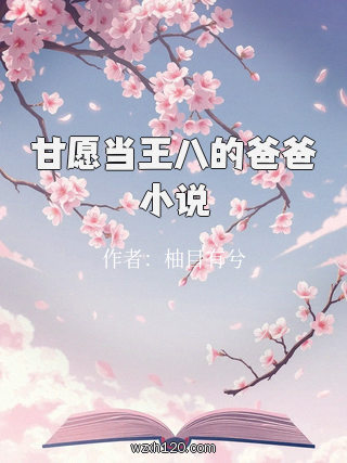 甘愿当王八的爸爸小说