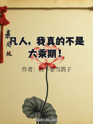 凡人,我真的不是大乘期!