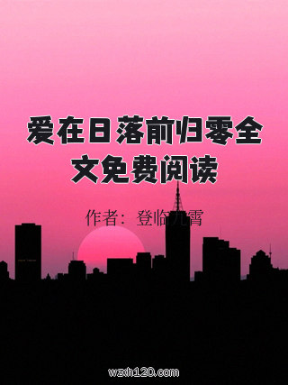 爱在日落前归零全文免费阅读