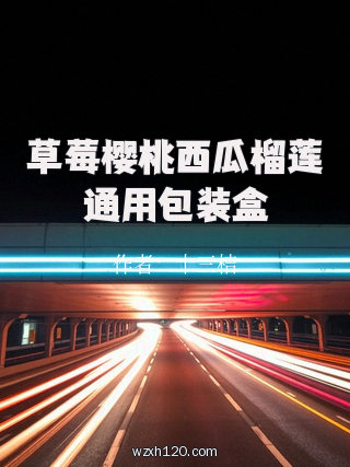 草莓樱桃西瓜榴莲通用包装盒