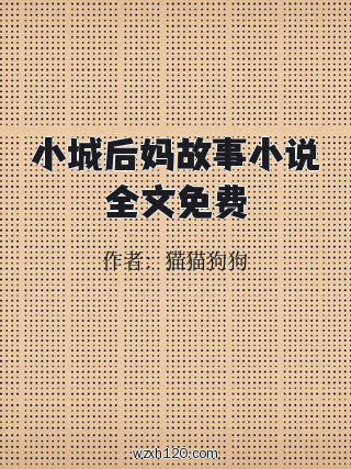 小城后妈故事小说全文免费