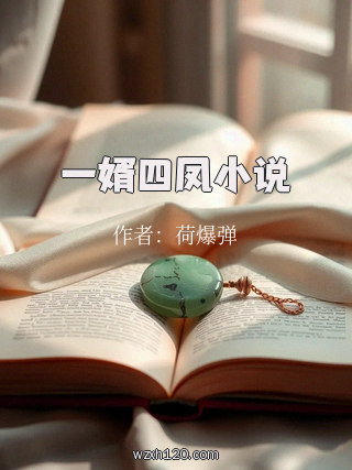一婿四凤小说