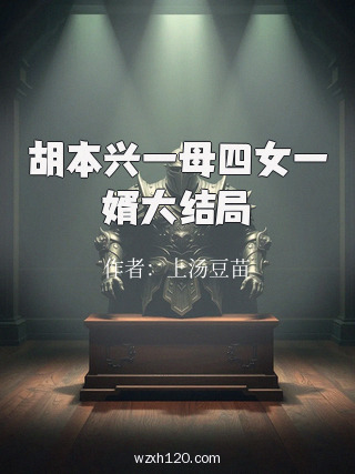 胡本兴一母四女一婿大结局