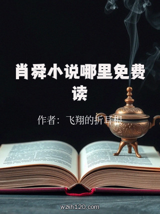 肖舜小说哪里免费读
