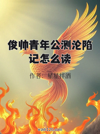 俊帅青年公测沦陷记怎么读