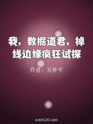我,数据道君,掉线边缘疯狂试探