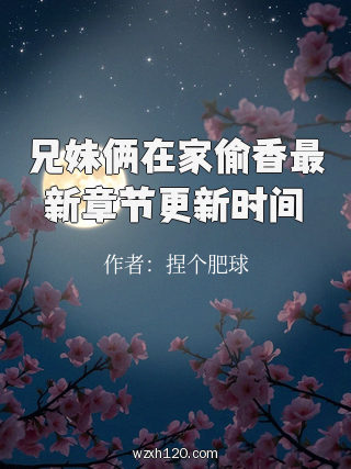 兄妹俩在家偷香最新章节更新时间
