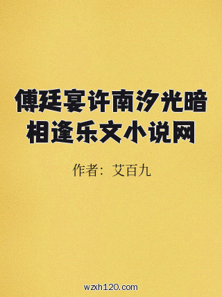 傅廷宴许南汐光暗相逢乐文小说网