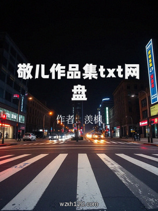 敬儿作品集txt网盘