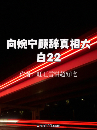 向婉宁顾辞真相大白22