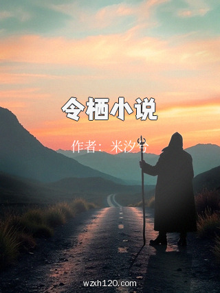 令栖小说