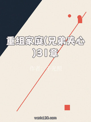 重组家庭(兄弟夹心)31章