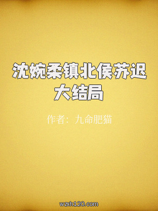 沈婉柔镇北侯苏迟大结局