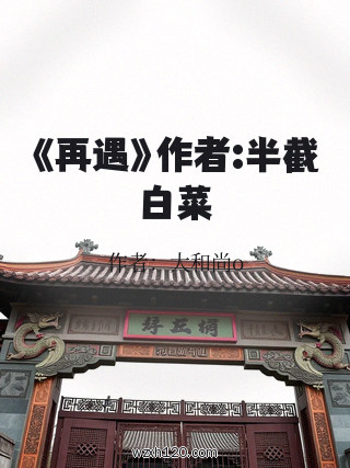 《再遇》作者:半截白菜