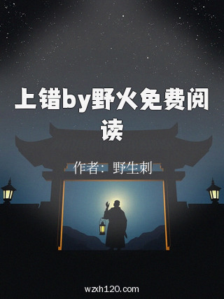 上错by野火免费阅读