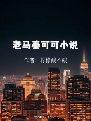 老马秦可可小说