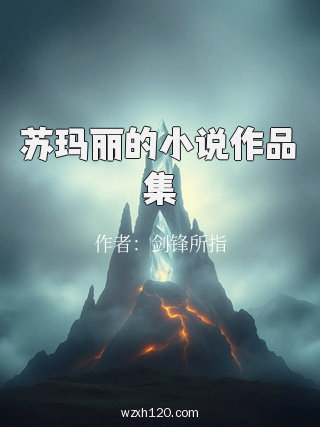 苏玛丽的小说作品集