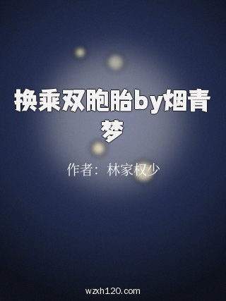 换乘双胞胎by烟青梦