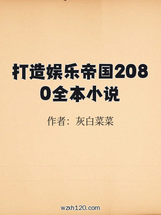 打造娱乐帝国2080全本小说