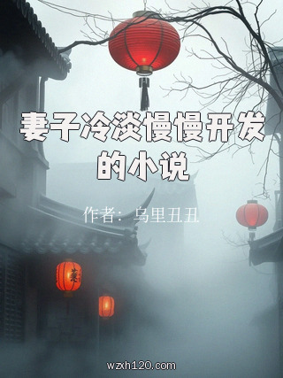 妻子冷淡慢慢开发的小说
