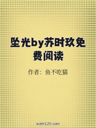 坠光by苏时玖免费阅读