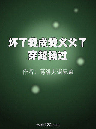 坏了我成我义父了穿越杨过