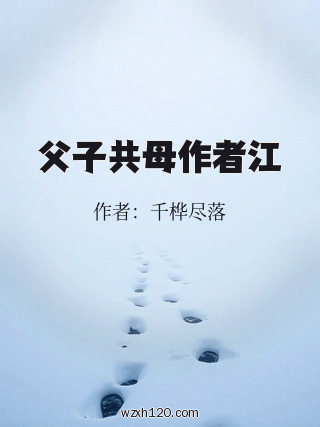 父子共母作者江