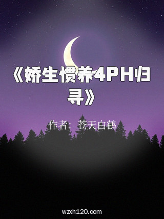 《娇生惯养4PH归寻》