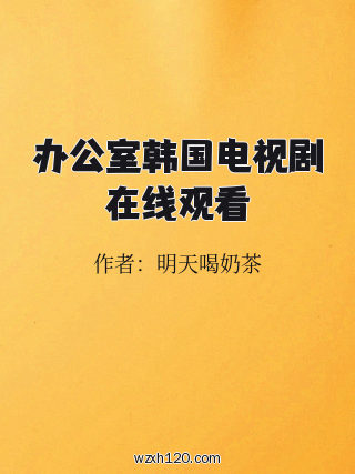 办公室韩国电视剧在线观看