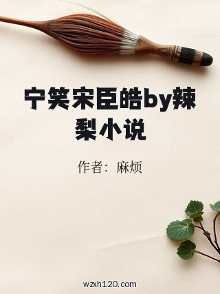 宁笑宋臣皓by辣梨小说