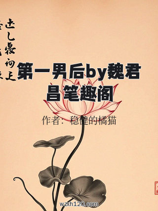 第一男后by魏君昌笔趣阁