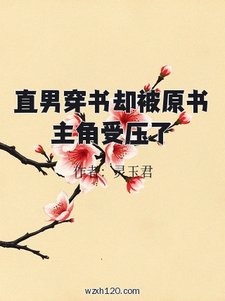 直男穿书却被原书主角受压了