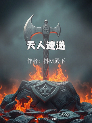 天人速递