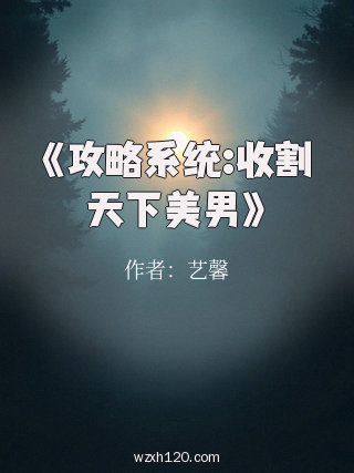 《攻略系统:收割天下美男》